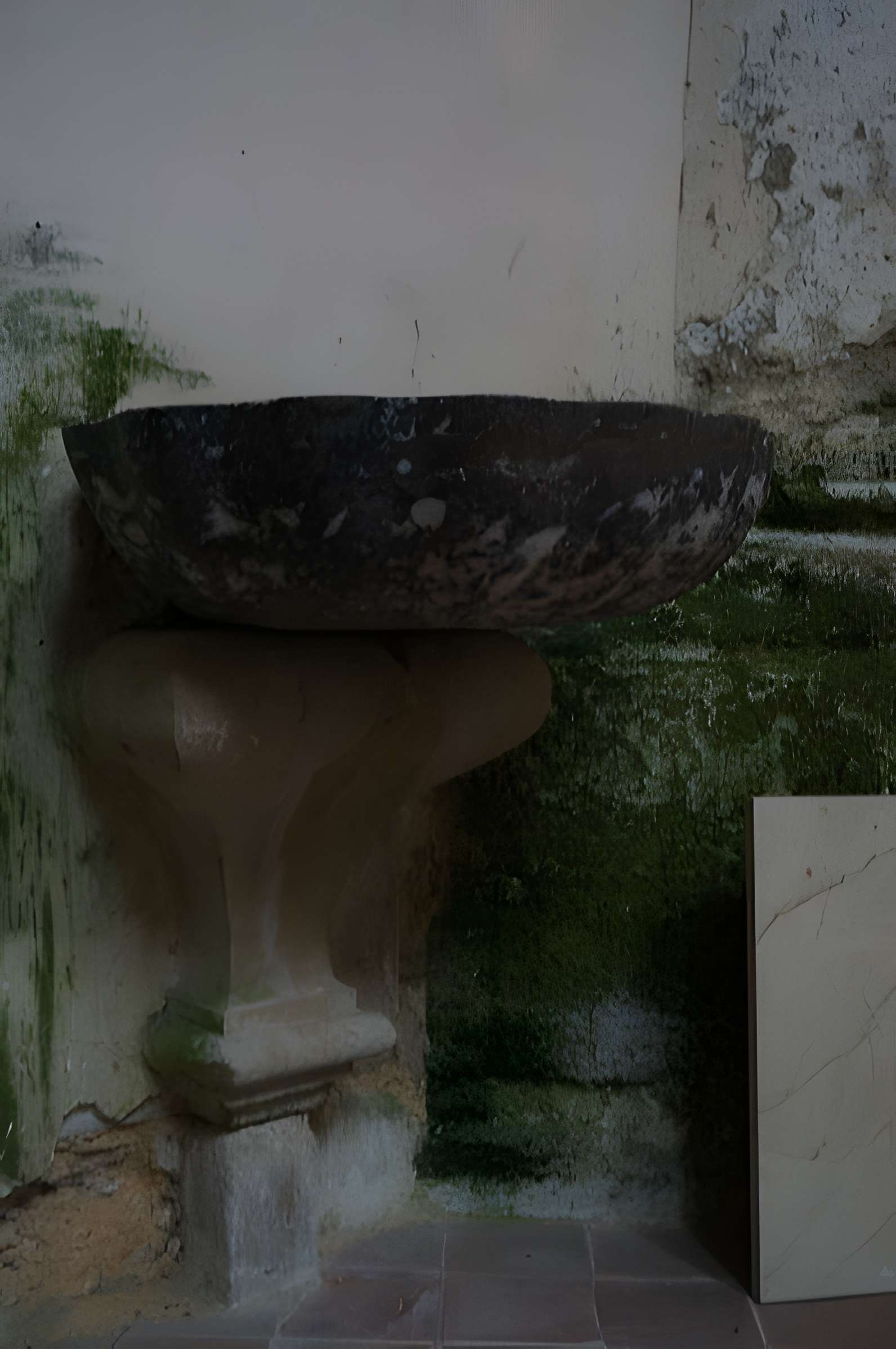 Abbaye des bénédictins saint-Pierre d'Orbais-l'Abbaye