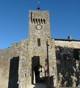 Photo de Château de Larressingle