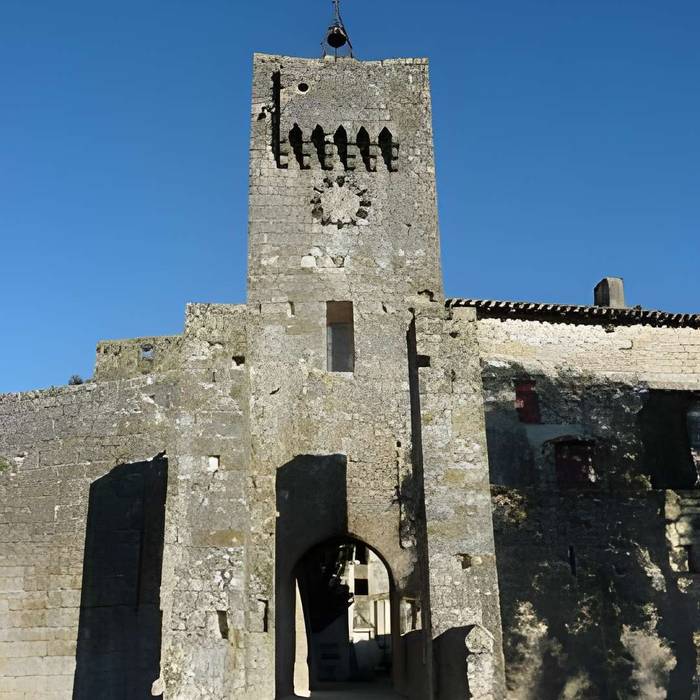 Photo de Château de Larressingle