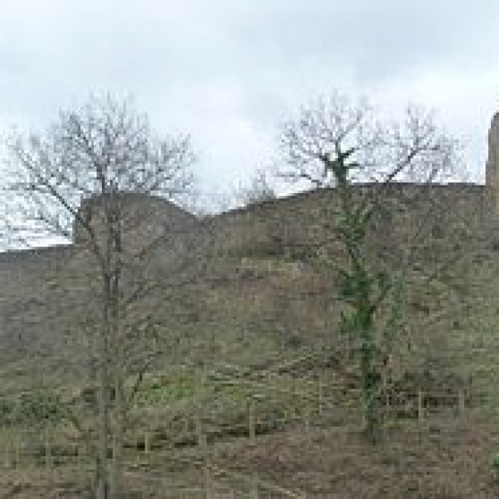 Photo de Ruines du château