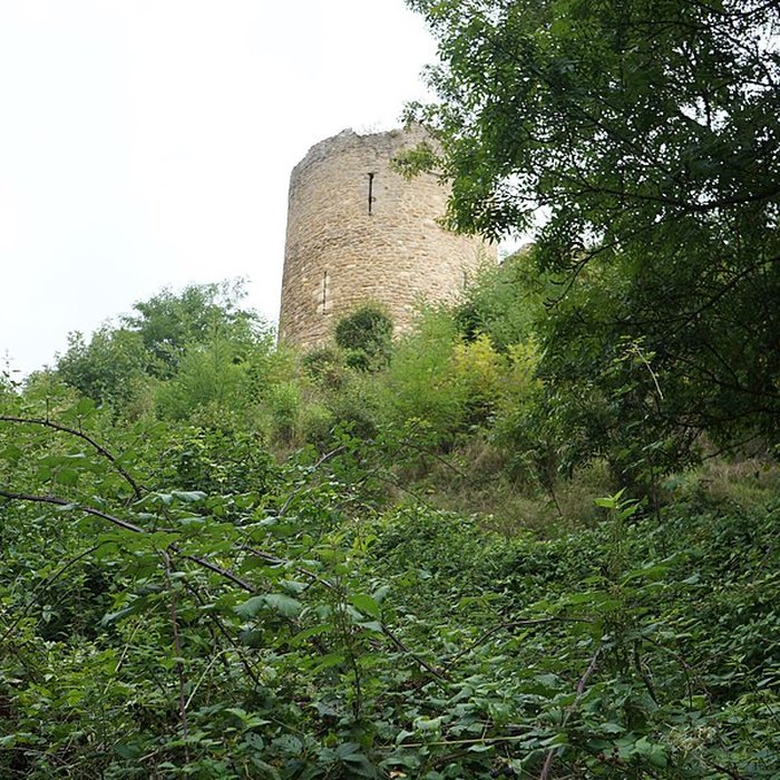 Photo de Ruines du château