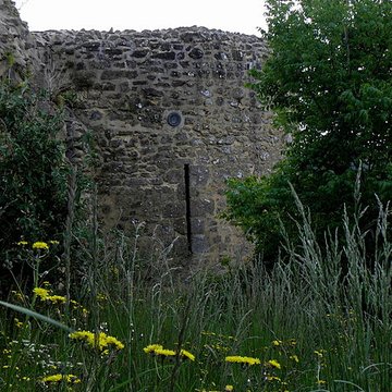 Ruines du château