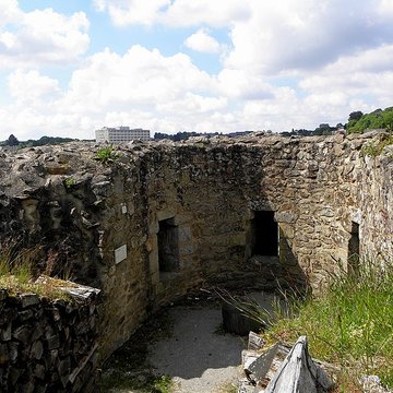 Ruines du château