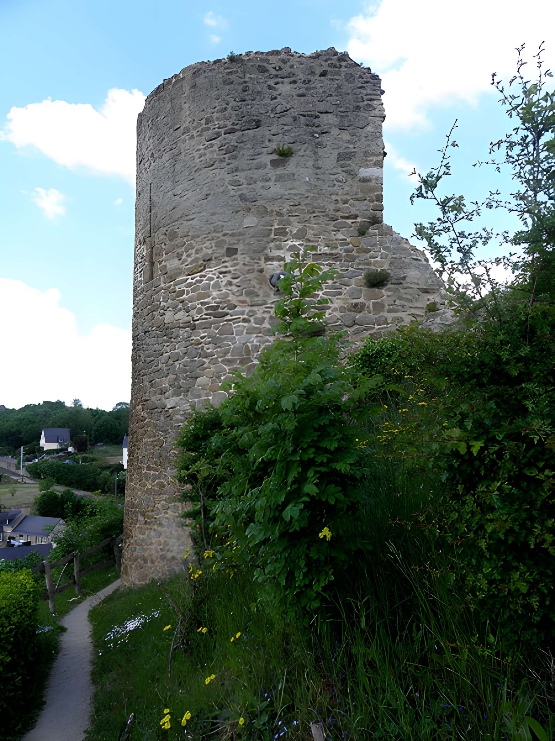 Ruines du château