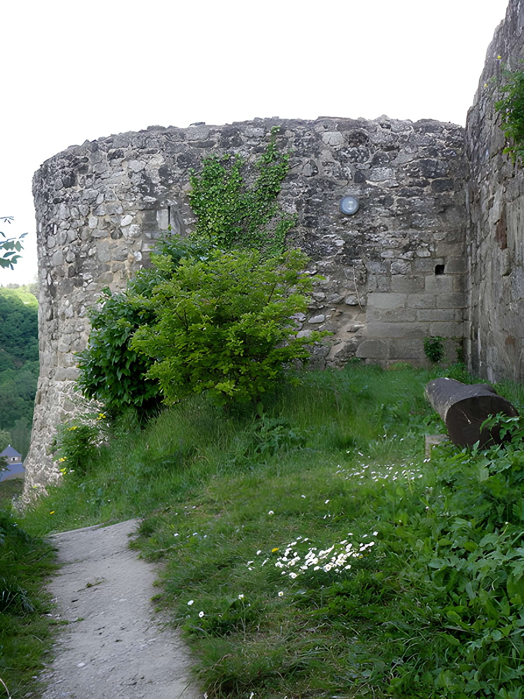 Ruines du château