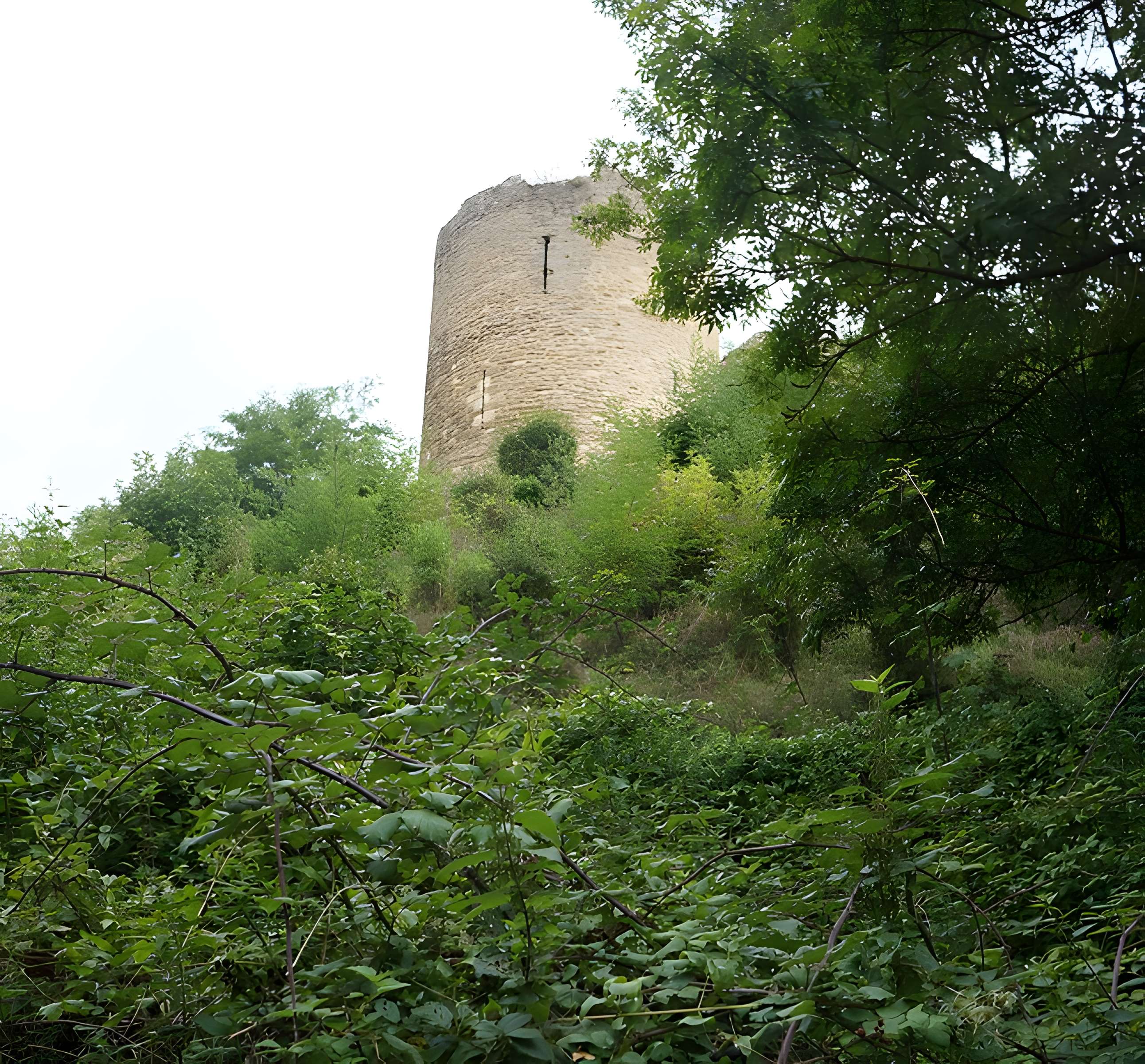 Ruines du château