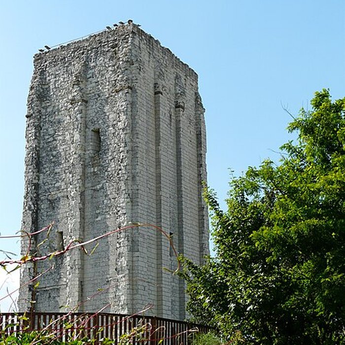 Photo de Château de Loudun