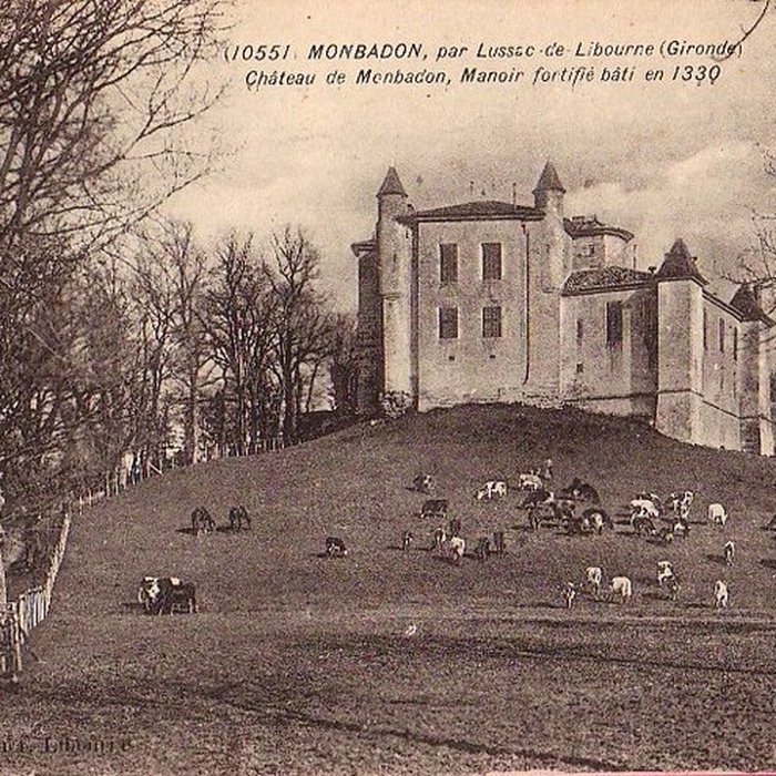 Photo de Château de Monbadon