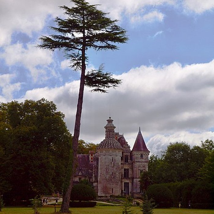Photo de Château dUsson à Pons