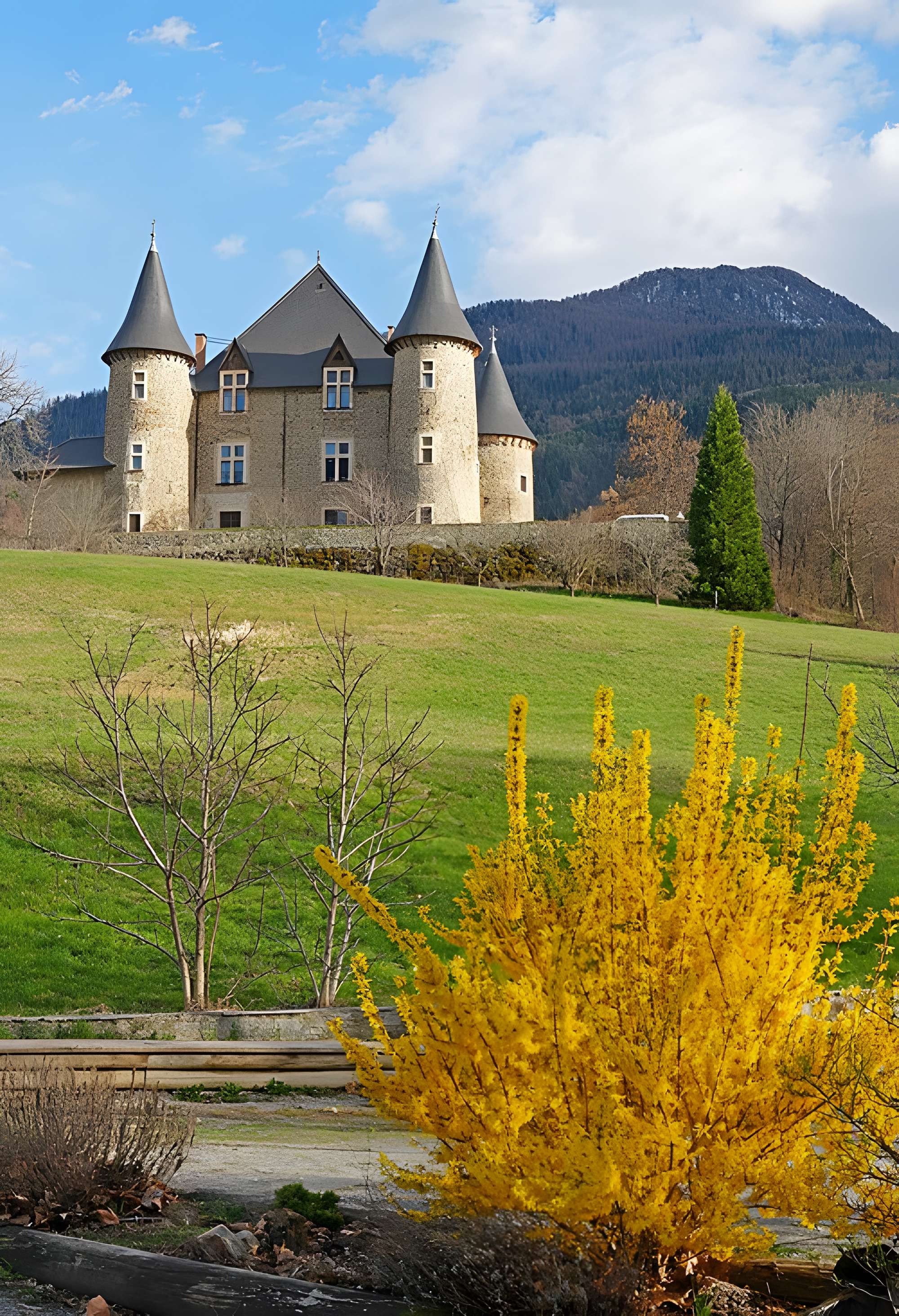 Château de Picomtal