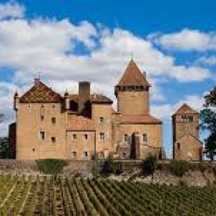 Photo de Château de Pierreclos