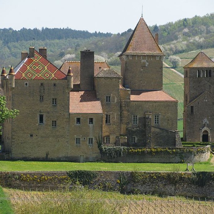 Photo de Château de Pierreclos