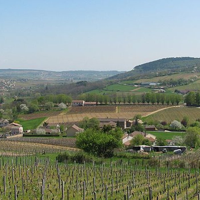 Photo de Château de Pierreclos