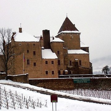 Château de Pierreclos