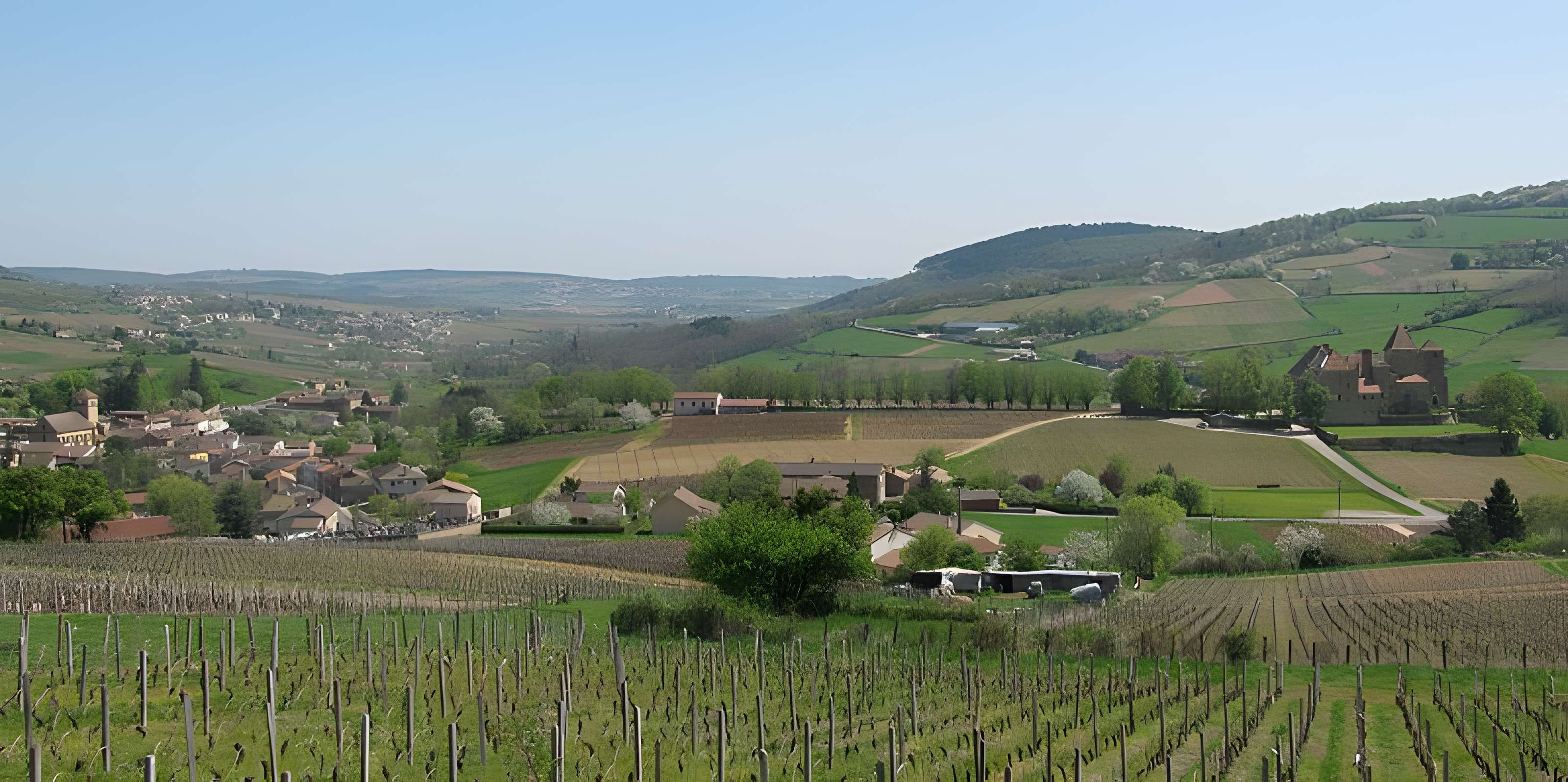 Château de Pierreclos