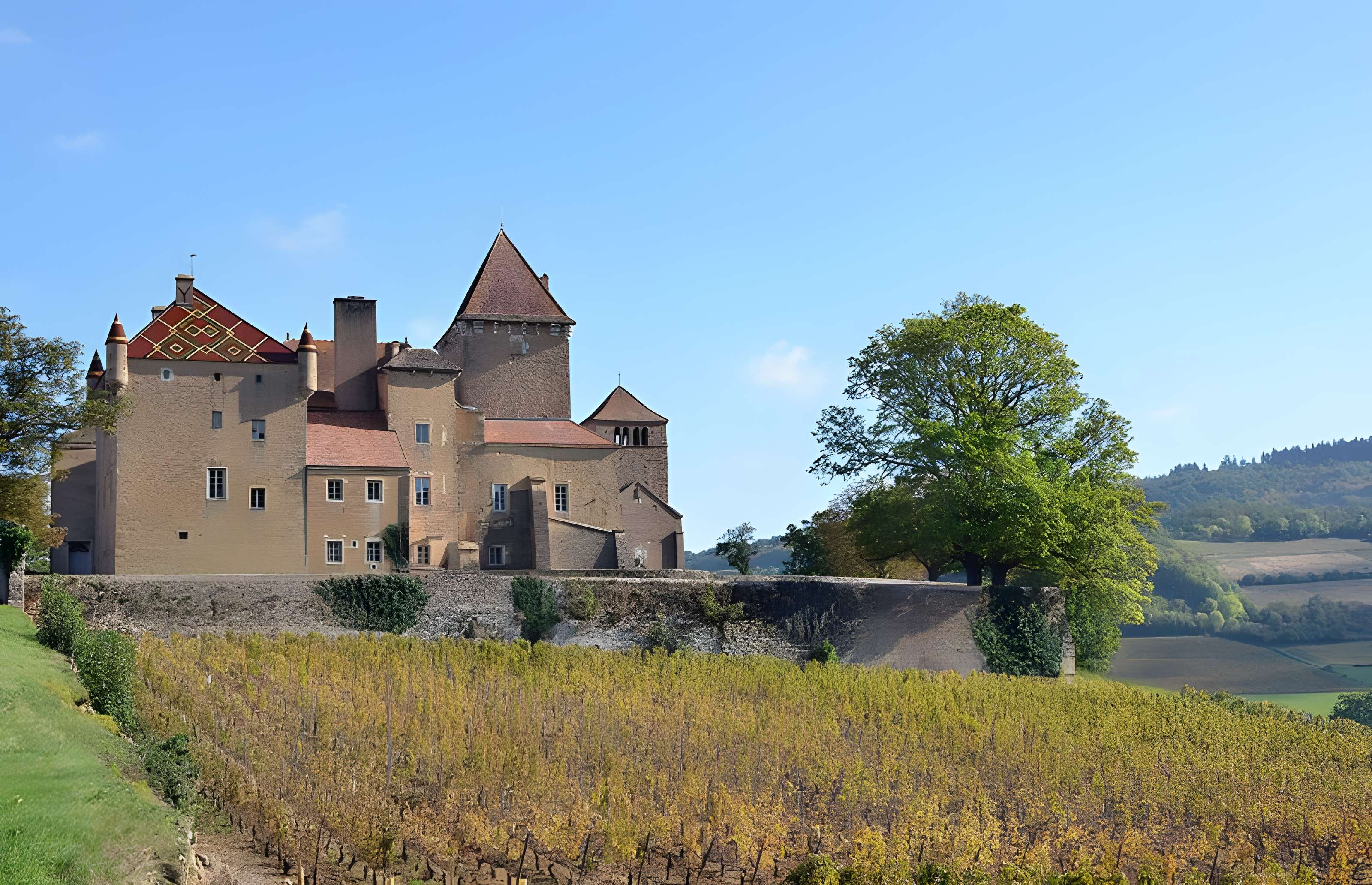 Château de Pierreclos