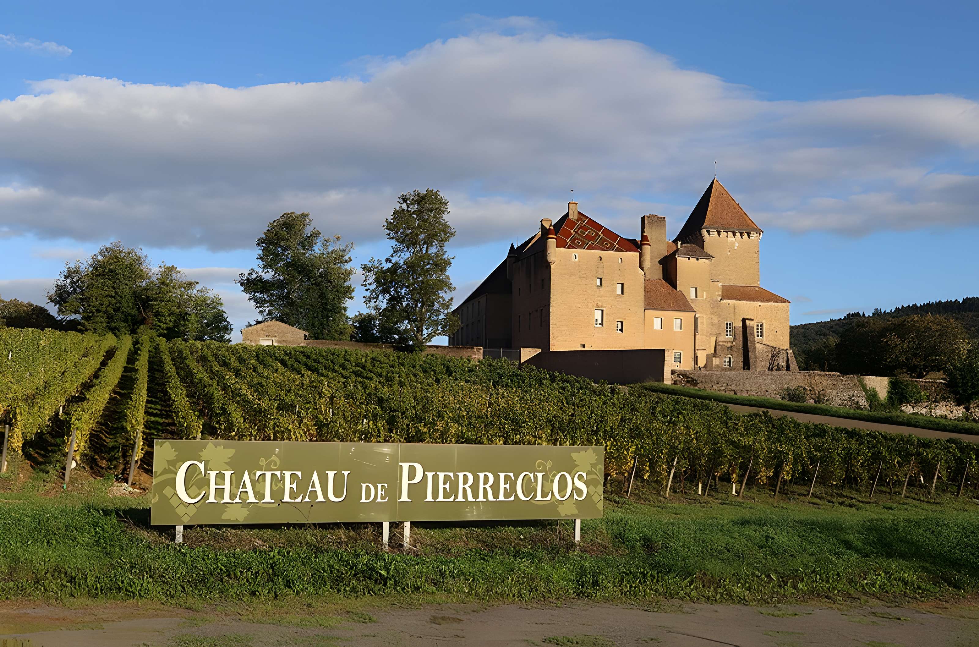 Château de Pierreclos