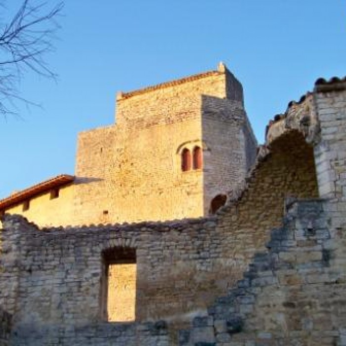 Photo de Château de Poët-Laval