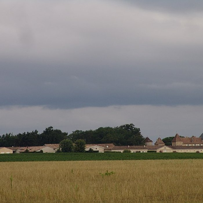 Photo de Château dYquem