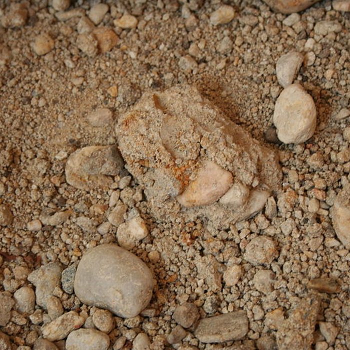 Photo de Château dYquem