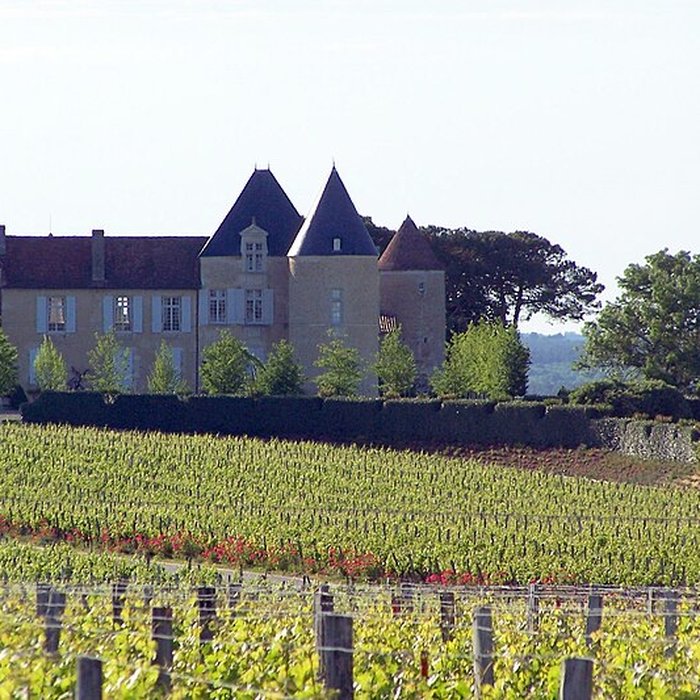 Photo de Château dYquem