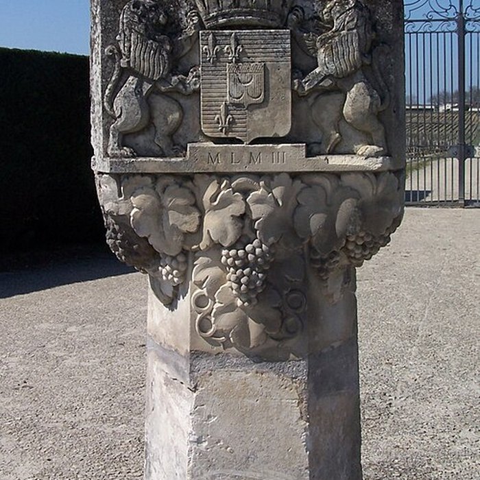 Photo de Château dYquem