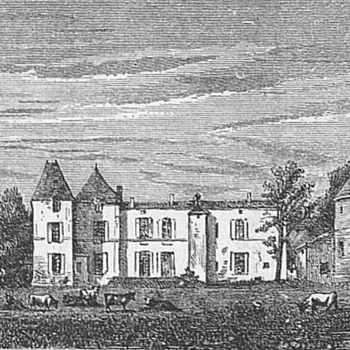 Photo de Château dYquem