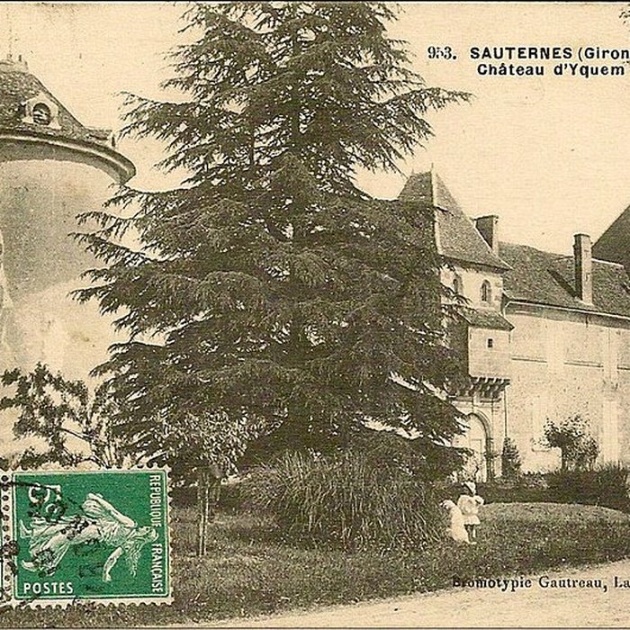 Photo de Château dYquem