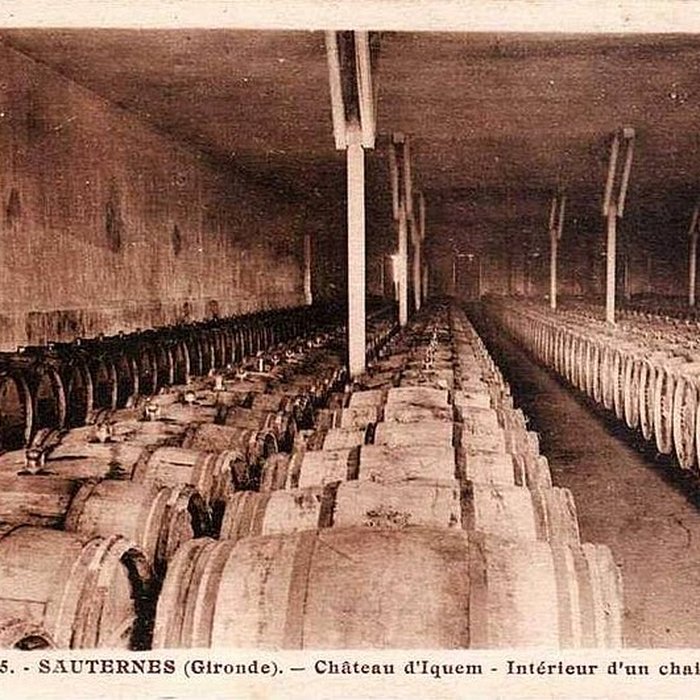 Photo de Château dYquem