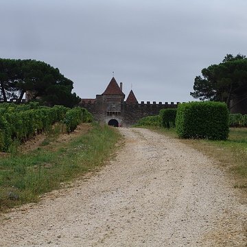 Château dYquem
