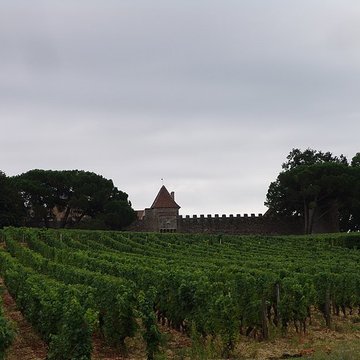 Château dYquem