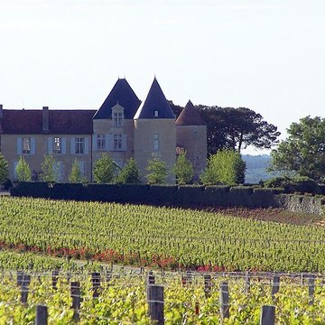 Château dYquem