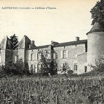Château dYquem