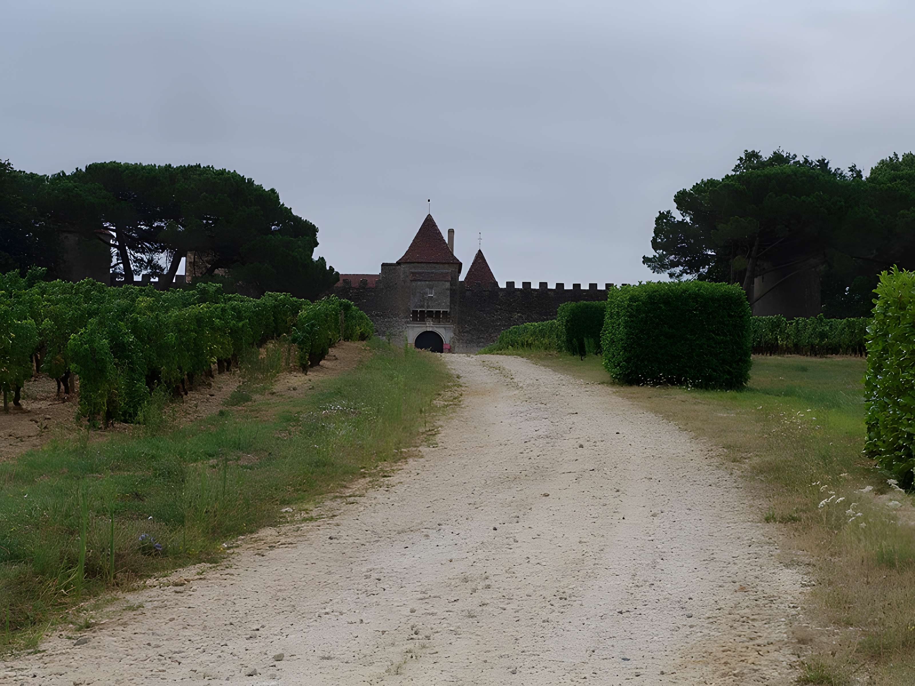 Château d'Yquem