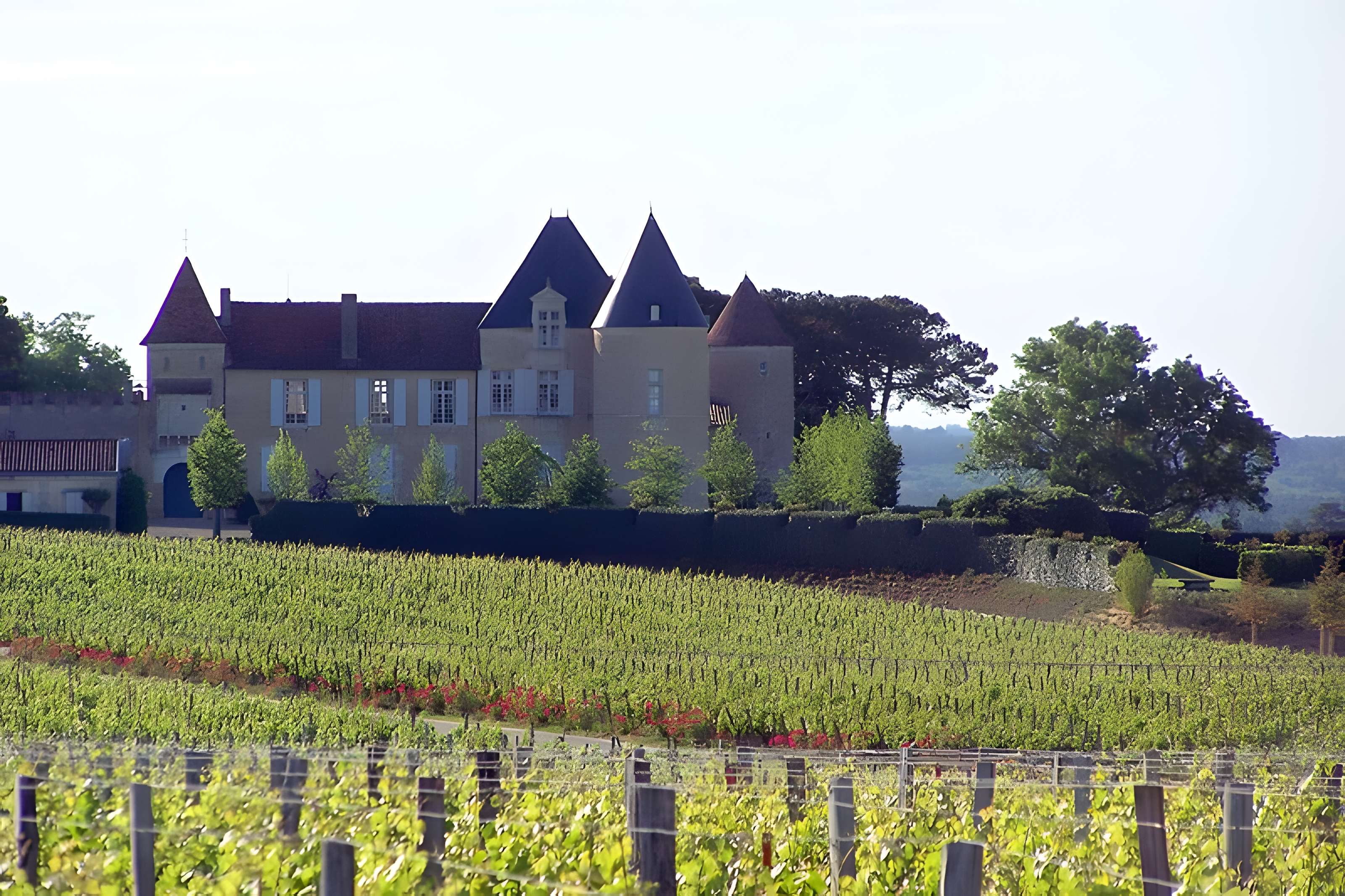 Château d'Yquem