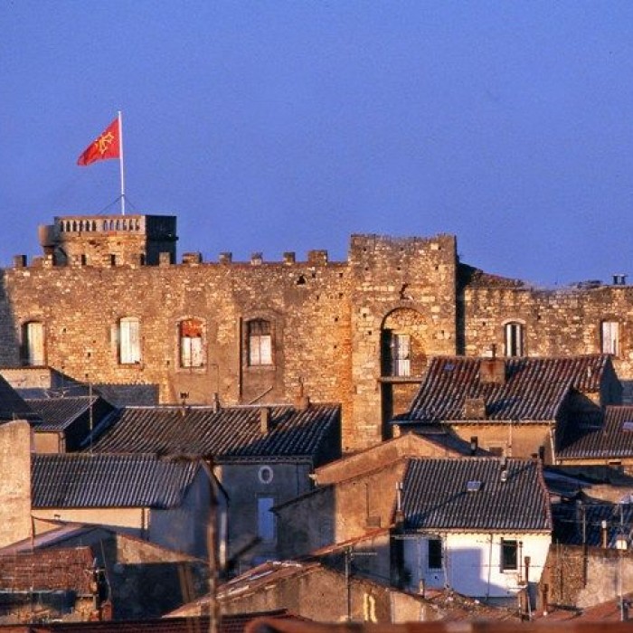 Photo de Château de Puisserguier