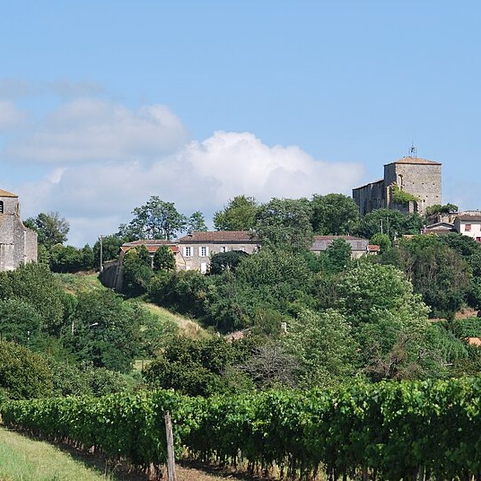 Photo de Château de Pujols dans la Gironde
