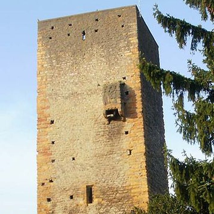 Photo de Château de Saint-Cyr-au-Mont-dOr