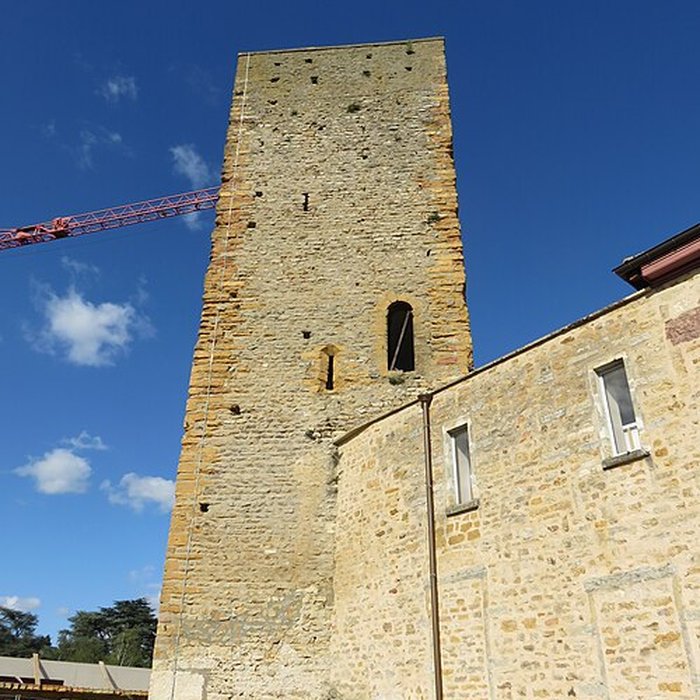 Photo de Château de Saint-Cyr-au-Mont-dOr