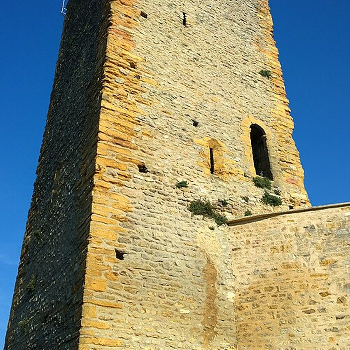 Photo de Château de Saint-Cyr-au-Mont-dOr