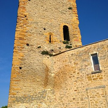 Château de Saint-Cyr-au-Mont-dOr