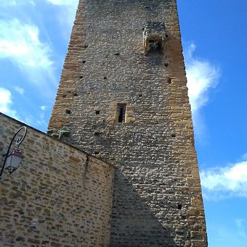 Château de Saint-Cyr-au-Mont-dOr