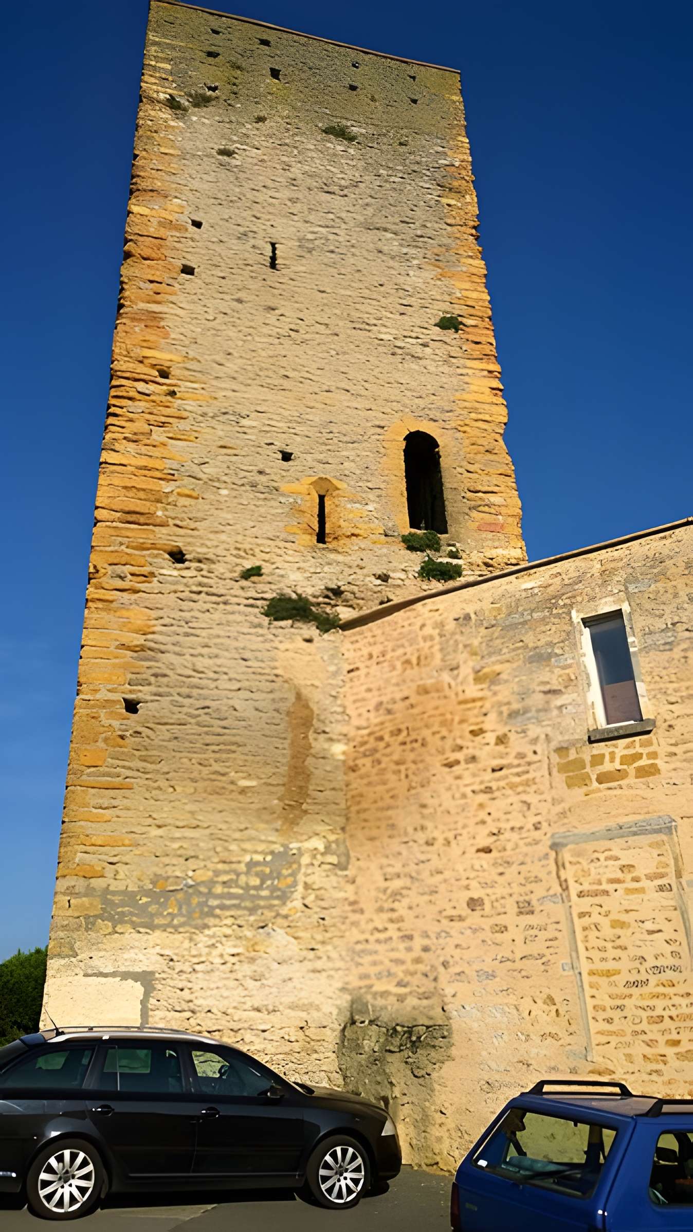 Château de Saint-Cyr-au-Mont-d'Or
