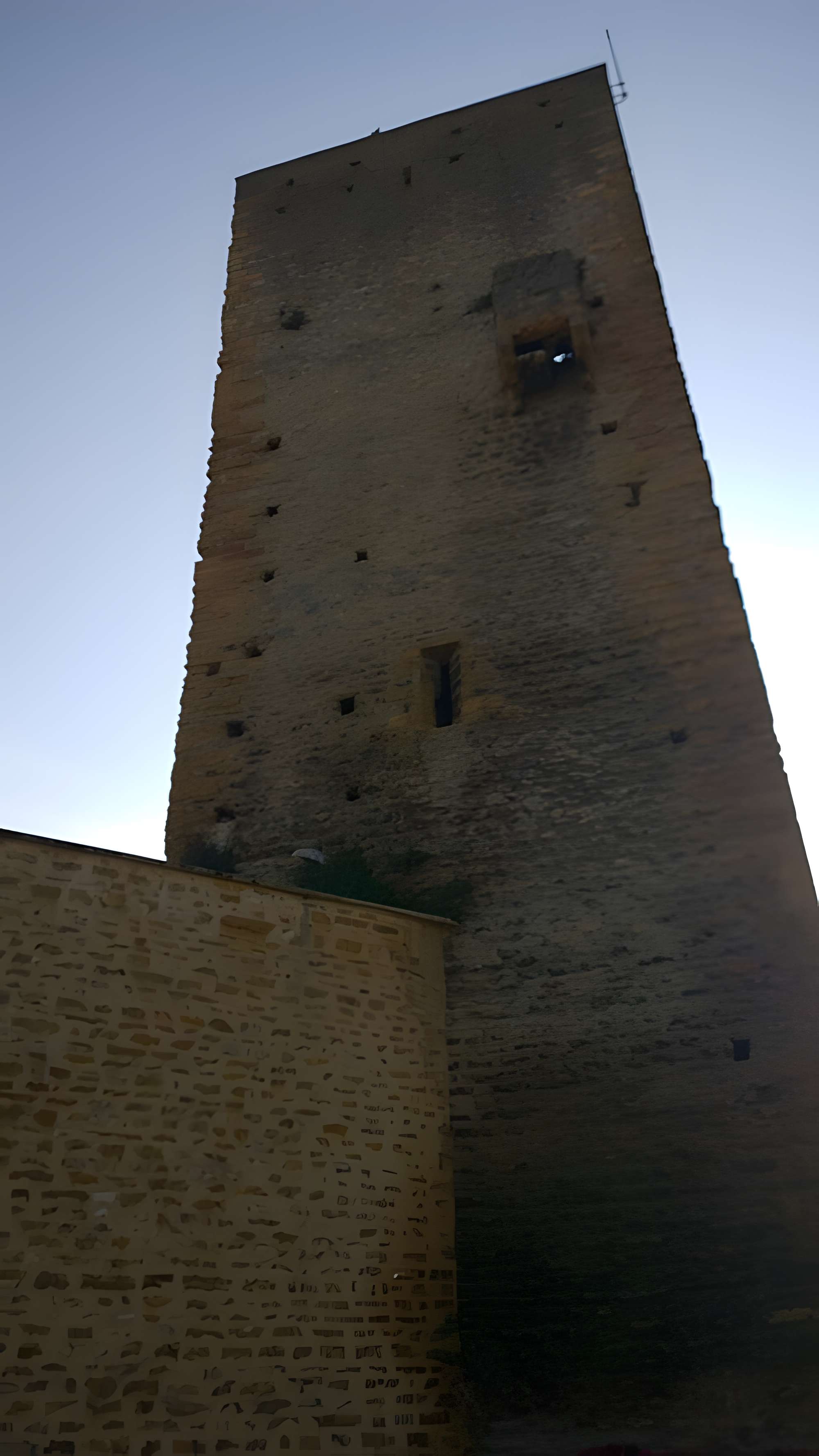 Château de Saint-Cyr-au-Mont-d'Or