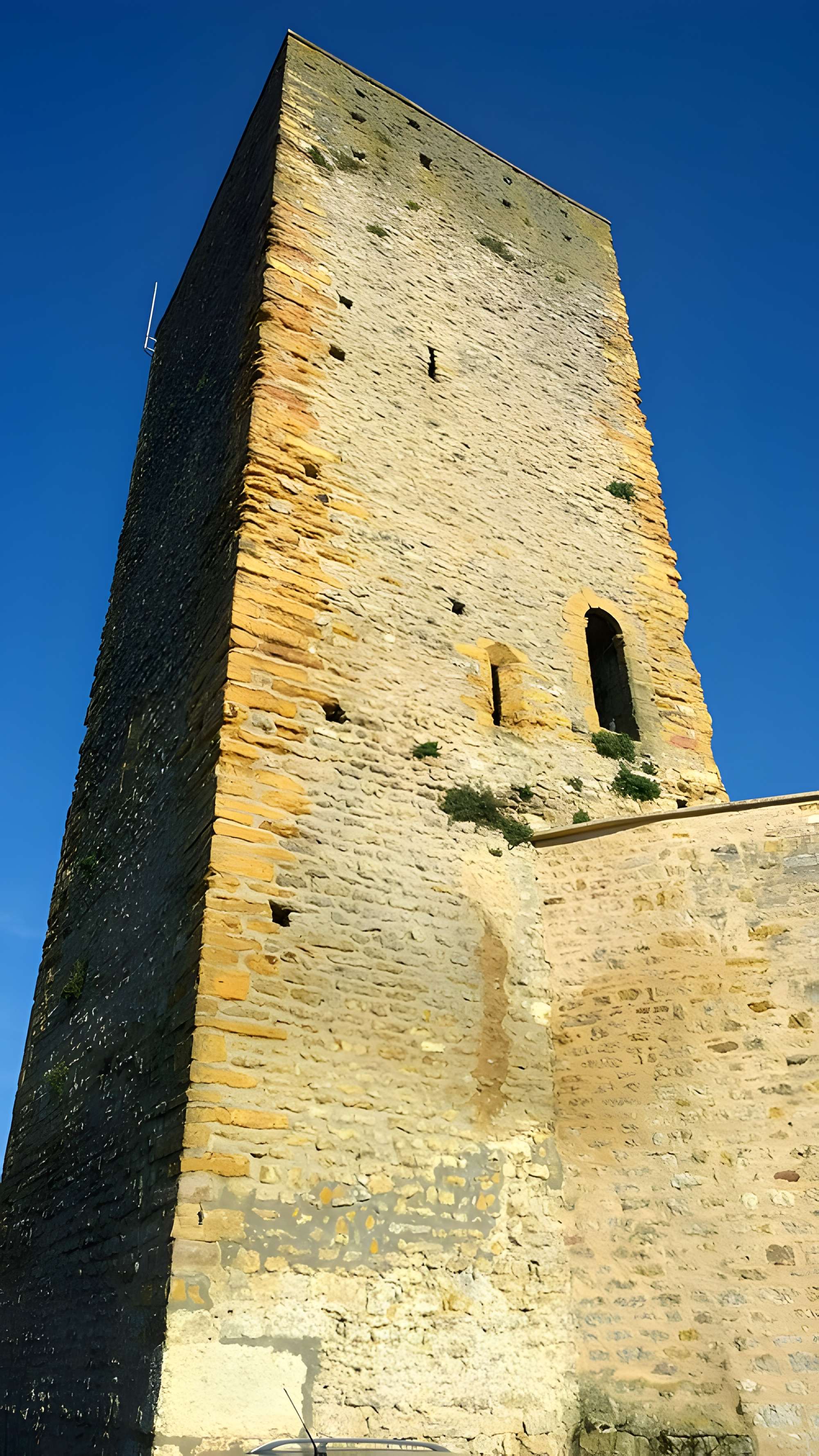 Château de Saint-Cyr-au-Mont-d'Or