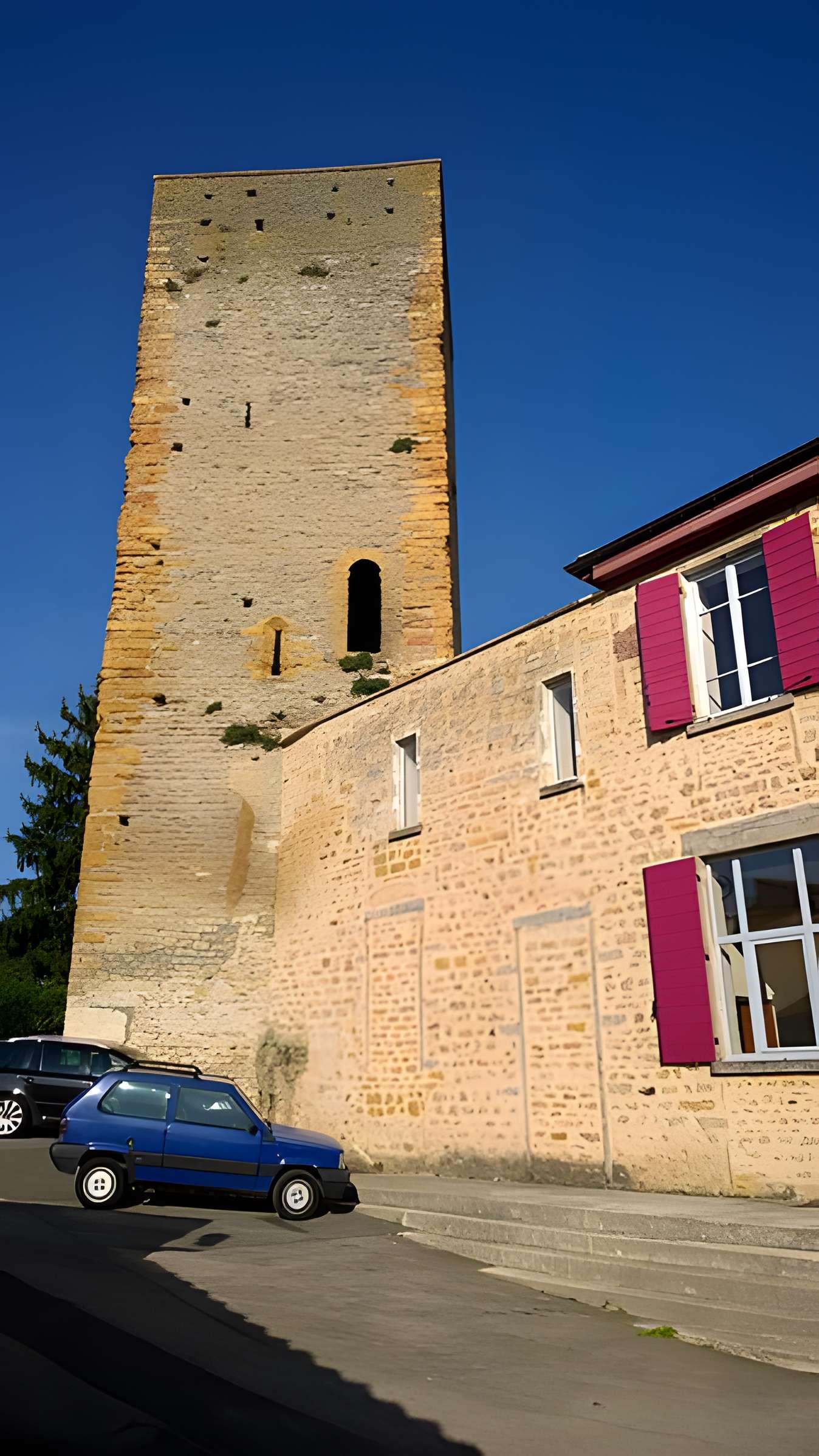 Château de Saint-Cyr-au-Mont-d'Or