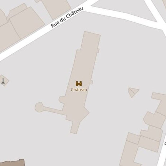 Photo de Château de Sainte-Maure-de-Touraine