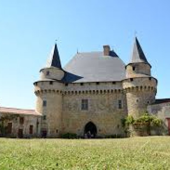Photo de Château de Sigournais