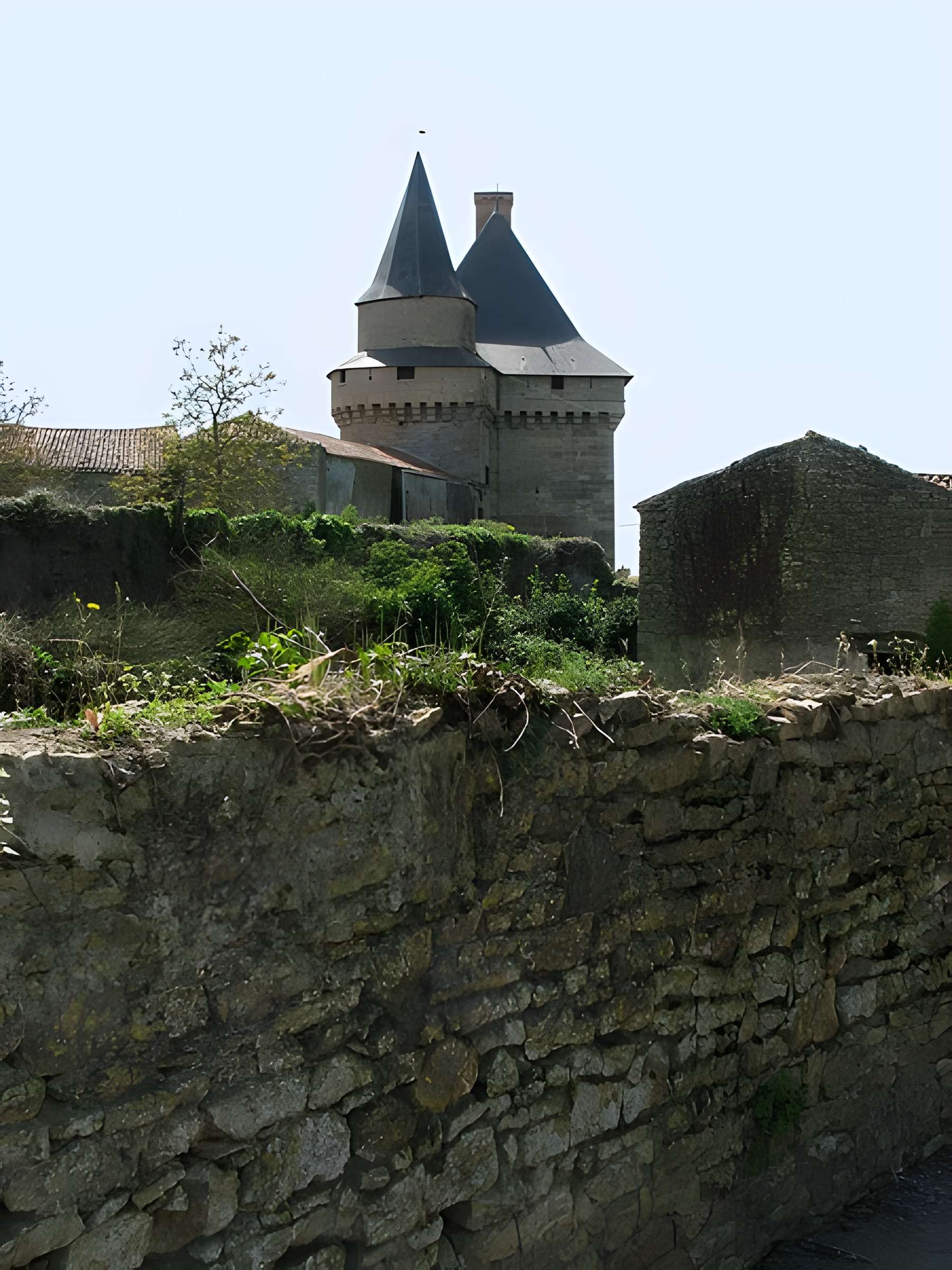 Château de Sigournais