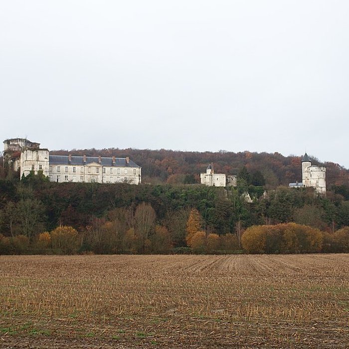 Photo de Château de Tancarville